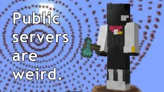 The Public SMP Experience
