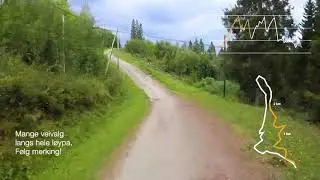 Terrengkarusellen 2020 - Saupstad (5,0 km)