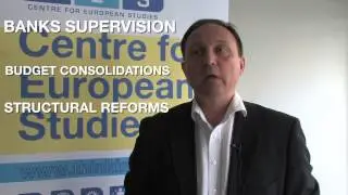 From Reform to Growth - Managing the Economic Crisis in Europe