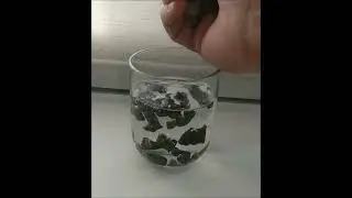 Pellet z łusek słonecznika. Test wody. Prędkość x3