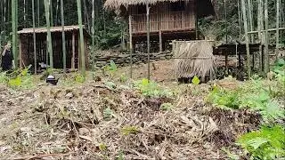 Single Mother Living Off Grid In The Forest