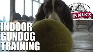 Gundog training tips - Easy indoor training