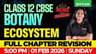 Class 12 CBSE Botany | Ecosystem - Full Chapter Revision | Xylem 12 CBSE