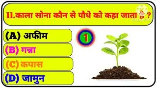 Gk Question ॥ Gk In Hindi ॥ Gk Question and Answer ॥ Gk Quiz ॥ MJ AG STUDY