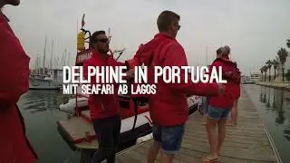 TIPP: Delfin Tour Lagos - Algarve Portugal