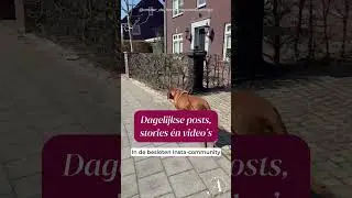 Wat gaan we allemaal doen bij Amber's Challenge: Wandelen zonder trekken?