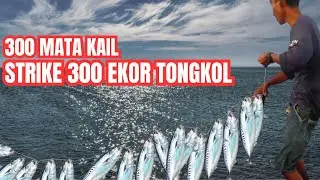 kejadian lucu saat mancing | 300 mata kail, strike 300 ikan tongkol sekaligus | KOPI BAJANG
