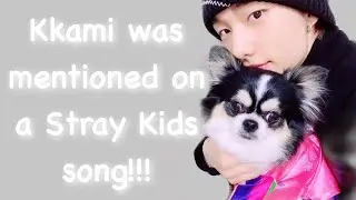 Kkami was mentioned on an skz song!!!
