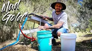 28 Bucket in 1.5 hours for How MUCH GOLD?