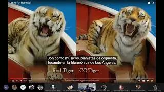 NCloth en Maya 2022