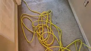 Simple green and peroxide. Safe organic carpet cleaning vlm orbital #carpettime.