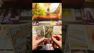 ⁉️ CHỒNG BẠN MONG MUỐN G&Igrave; TỪ BẠN ⁉️ #tarot #hanoi #honnhan #giadinh