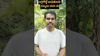 అగ్రిగోల్డ్ బాధితుల గుర్తింపుకు కూటమి ప్రభుత్వం సర్వే - త్వరలో ఖాతాల్లోకి డబ్బులు
