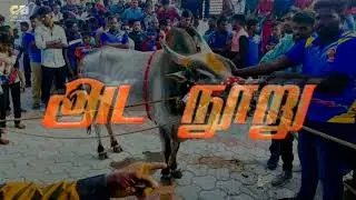 Bin Laden Part 2 ...............? #jalikattu  #pongal #valimaigamer # shorts
