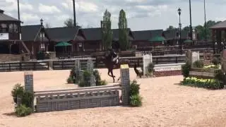 Elly Ficca Junior Hunter 3'3