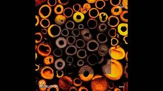 Parde Grilon - Circo Ficcion (Original Mix)