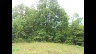 Rural Land For Sale | PHTR7