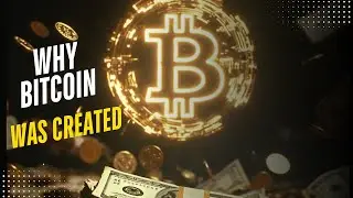 Why Bitcoin Was Created: The Story Behind Sound Money & The Future of Freedom