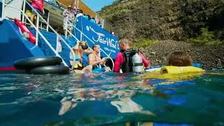 Explore the Depths of Kealakekua Bay with SNUBA | Fair Wind Cruises
