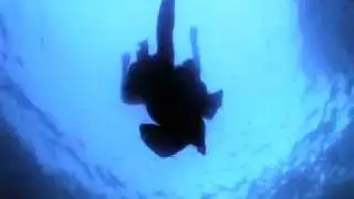 Shark Week: Day of the Shark (promo)