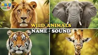 Animal Sounds &ndash; Wild Animals Video for Kids | Educational Videos for Kids