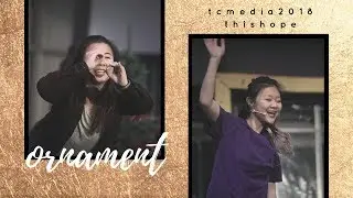 TC Media 2018 - Ornament [1.5]