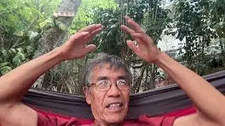 Indra's Net, Interpenetration and Tree Analogy of Life