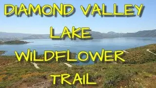 exploring Diamond valley lake hike wildflower trail day hike