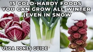 15 Cold-Hardy Foods You Can Grow All Winter (Even in Snow) &mdash; USDA Zones Guide