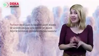 006 - Sosyal Bilgiler ÖABT - Sosyolojide Yöntem - Özge Demirel