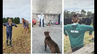 Kulikitaka Challenge - Funny Ghost Scare - Animal Version | Tik Tok Compilation 2020