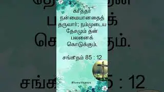 Today's Bible Promise |  இன்றைய வாக்குத்தத்தம் | 30 April 2024 | Tamil Christian daily promise