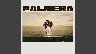 Palmera