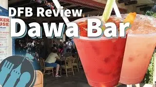 Review: Dawa Bar in Animal Kingdom