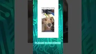 Dog meme #trending #luv #funny #meme #fypシ