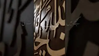 Respect These 3 People and Allah Will Honor You 🤍 | Islamic Short | Hadith About Respect | #shorts