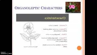 Antitumour Drugs