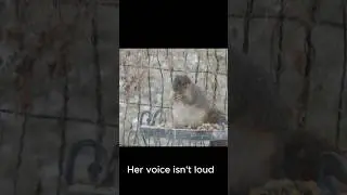 listen