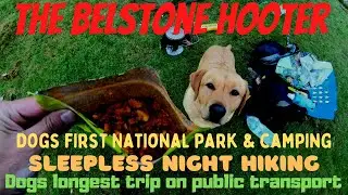 Sleepless night Dogs first time Wild Camping Dartmoor Seven hours Public transport on bus train home