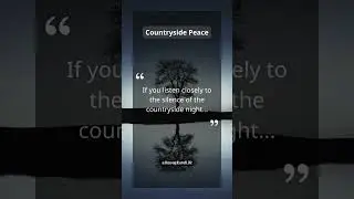 Listening to the Silence of the Countryside Night | Clarity in Stillness