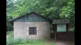 Felsennest Rodert