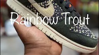 Nike Dunk Low Rainbow Trout 2023 FN7523-300 Sneaker Review