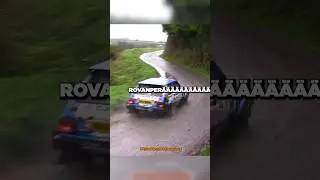 Crazy Passionate Rally Fan 👏