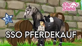 Ich KAUFE den PERCHERON in STAR STABLE🤑 // Star Stable Online