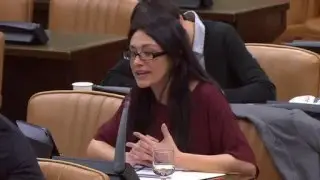 Sol S&aacute;nchez (IU) sobre Ley de Amnist&iacute;a en Venezuela