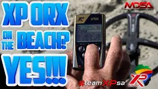 XP ORX Any Good On The Beach? YES & We Show You How!!! Best ORX Beach Settings, Tips & Great Finds!
