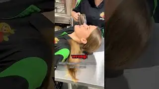 Рабочий челлендж пошел не по плану 😭