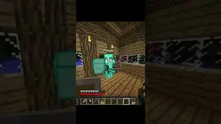 Das sind Diabl&ouml;cke !!! #minecraft #pov #povminecraft
