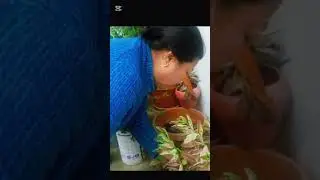 जता गएनि फुलमात्रै बटुल्न मन लाक्छ।