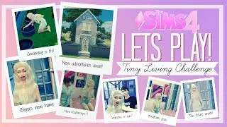 The Sims 4 - Lets Play! | Tiny Living Challenge - Kitchen renovation (Part 8)